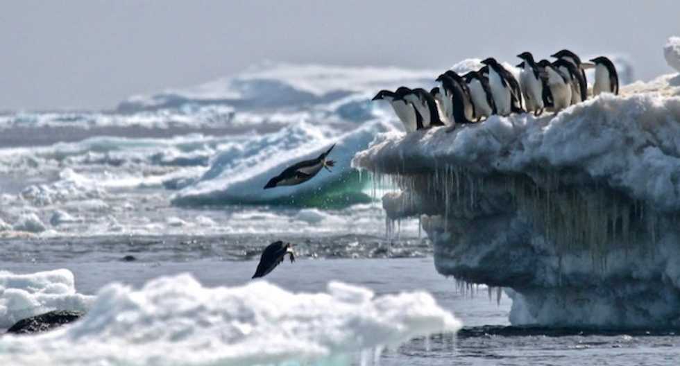 Antarctic sea ice in dizzying decline since 2014: study
