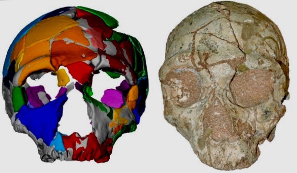 'Oldest remains' outside Africa reset human migration clock