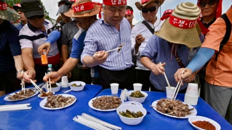 South Korea dog meat protesters hounded by farmers