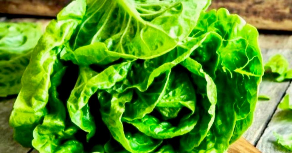 CDC says nine more people added to E.coli infection investigation