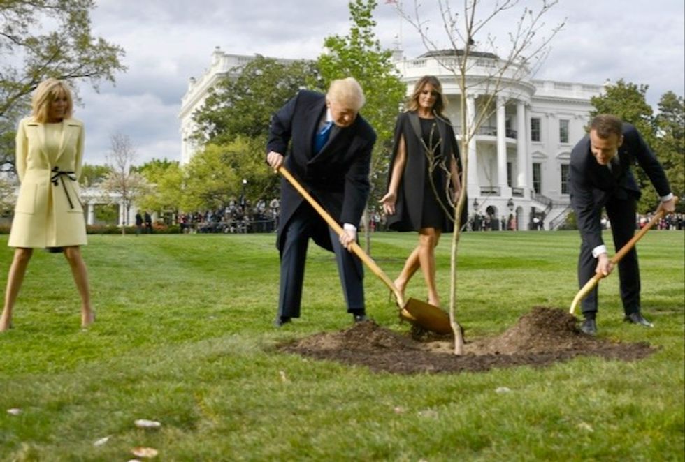 Trump and Macron planted a tree -- but where did it go?