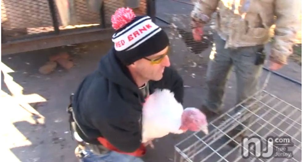 An honest Thanksgiving: Why I killed my own turkey -- and what I learned about myself