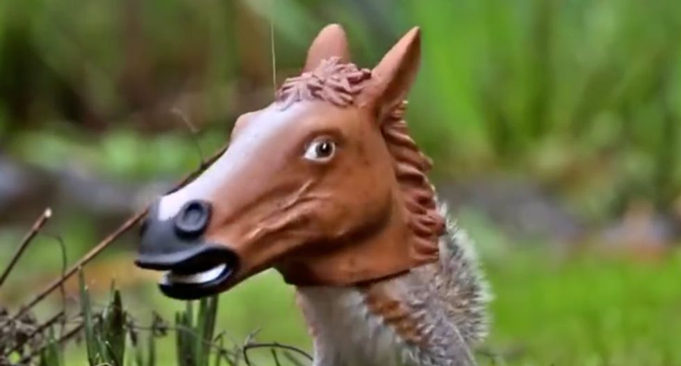 Here are the top 6 super weird under $30 holiday gifts you never knew you needed