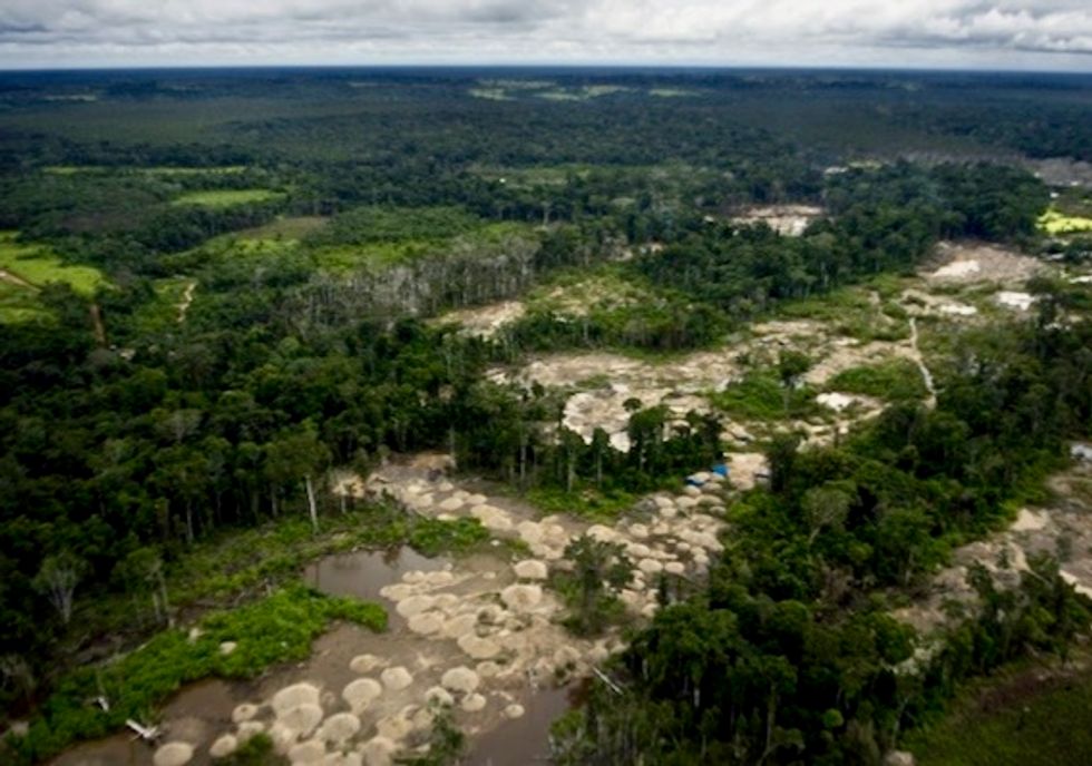 Peruvian Amazon undergoing deforestation at accelerating pace: official