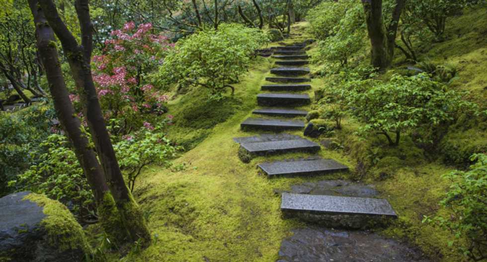 What's behind Japan's obsession with moss?