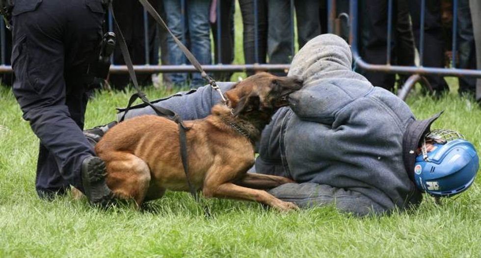 Records show Florida cop giddily wanting to sic dog on suicidal teen: 'COME GET UR BITE'