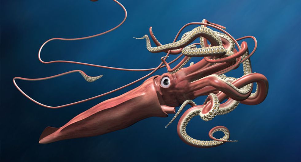 Scientists reveal the truth behind the origins of the legendary Kraken
