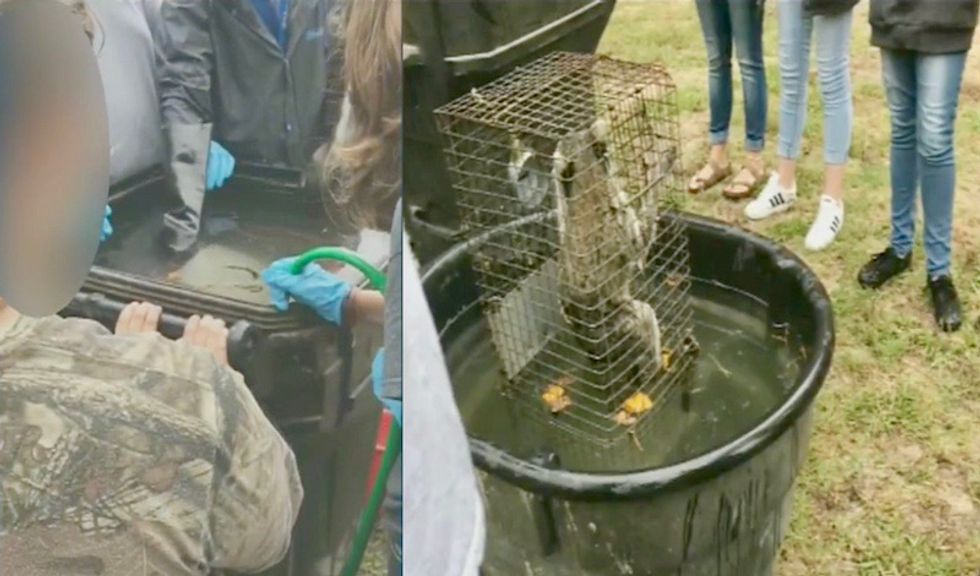 Florida teacher drowns 'nuisance animals' in front of class -- then catches another to kill 'just for sport'