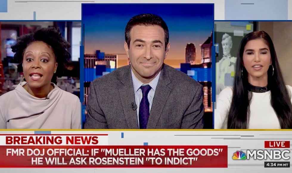 Watch: MSNBC panel takes hilarious turn as angry Republican insists Trump has read the Federalist Papers