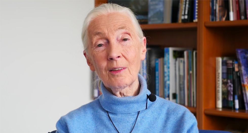 Jane Goodall: Public needs to face down Trump's 'absurd' anti-science policies and back researchers