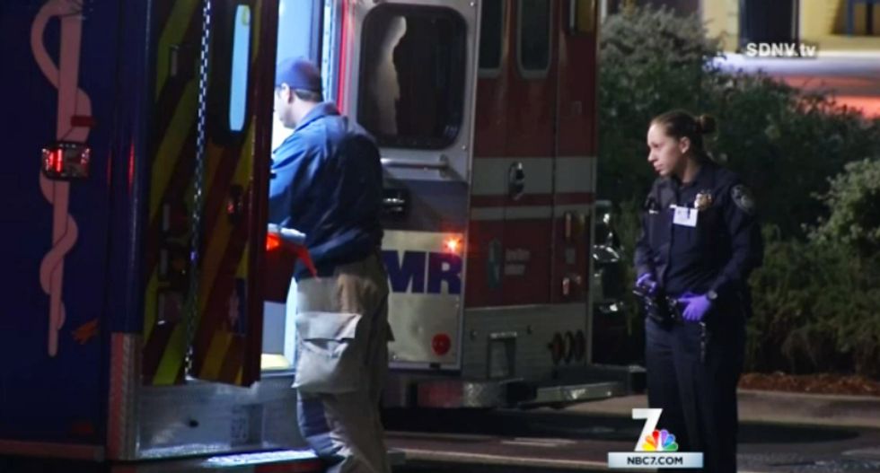 San Diego cop kills woman and dog in fleeing car -- but misses the driver