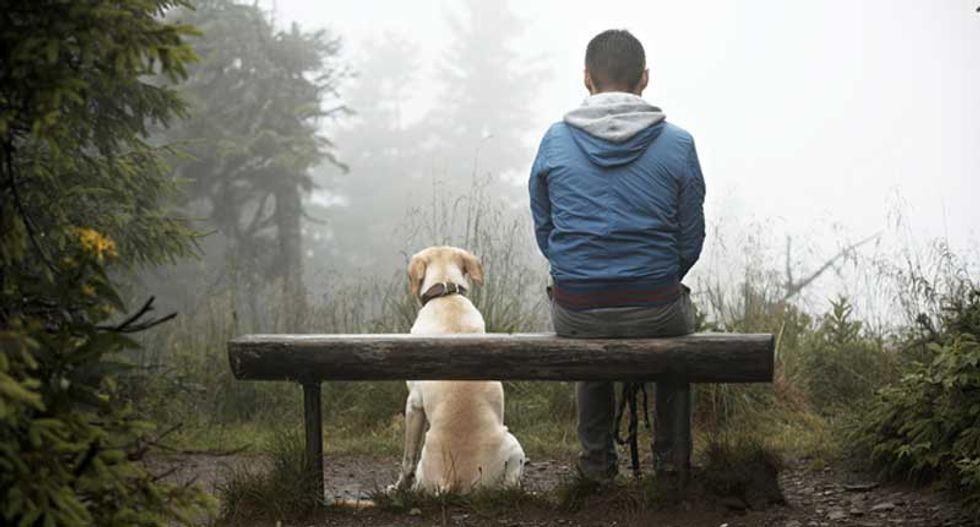 Dogs really can tell how their owners are feeling, new study shows