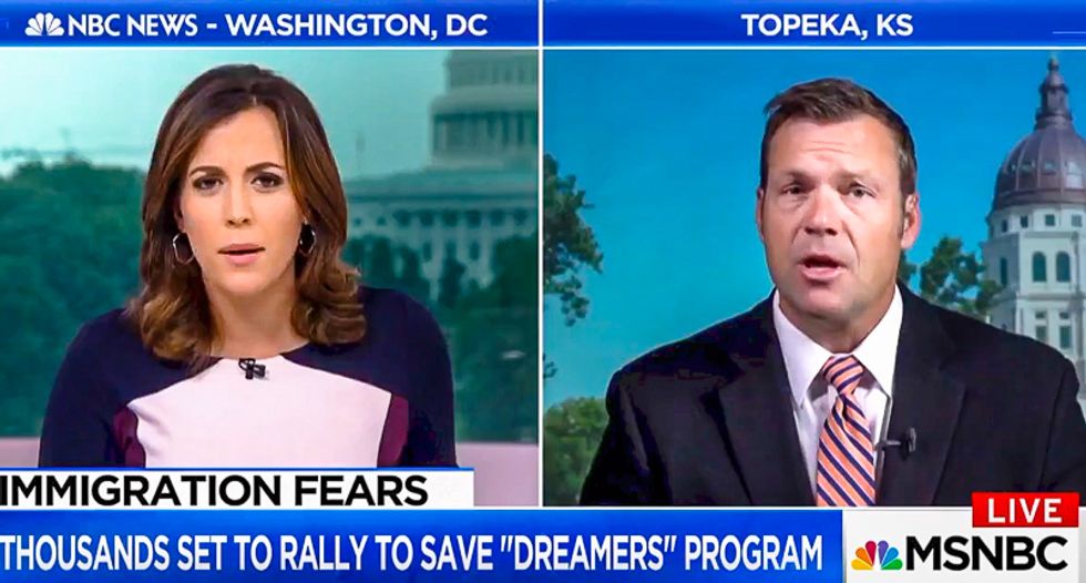 'What is your problem?' MSNBC's Hallie Jackson spanks DACA opponent Kris Kobach for lying about Dreamers