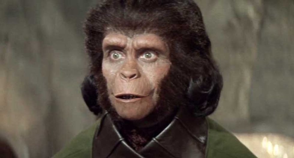 What species would become dominant on Earth if humans died out?