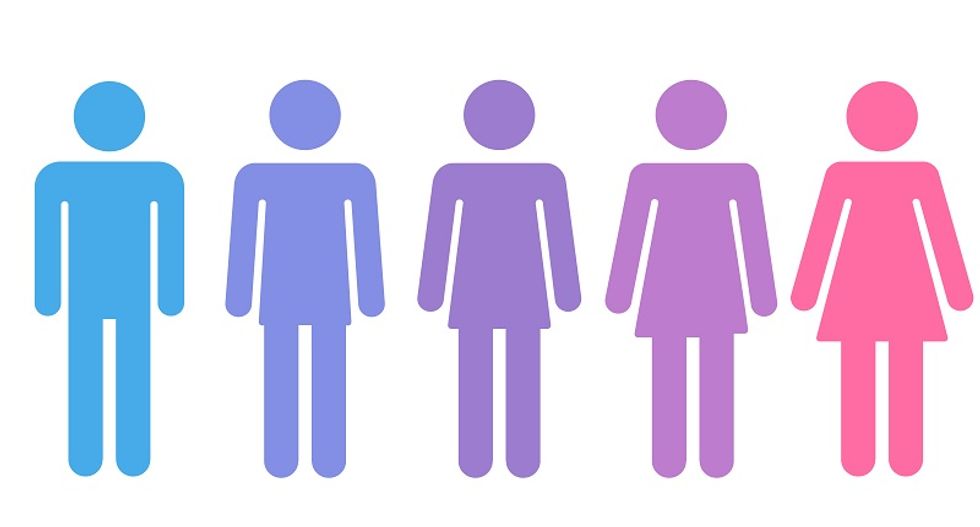 School suspends trans boy for using boys' restroom -- after girls complained he was using theirs
