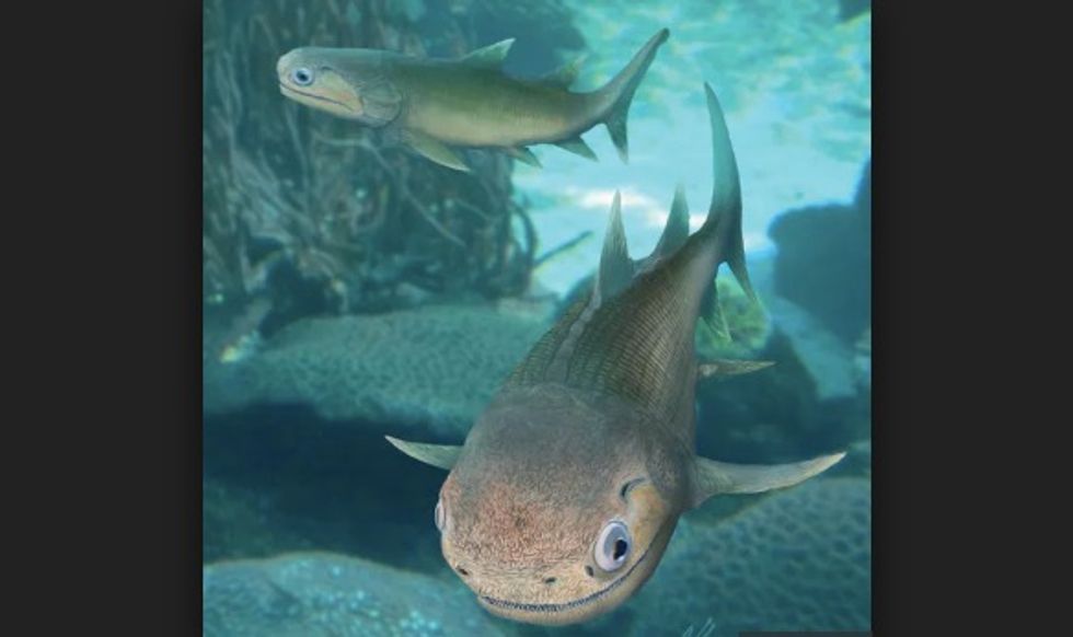 It’s less than 2cm long, but this 400 million year old fossil fish changes our view of vertebrate evolution