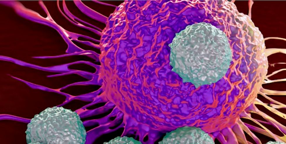 The bugs we carry and how our immune system fights them