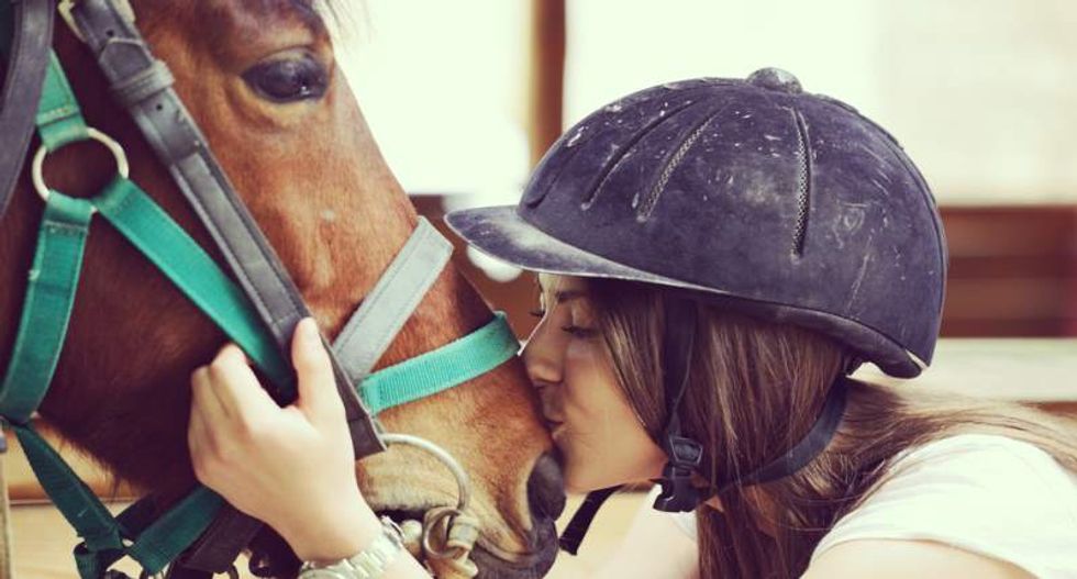 Horses know how to ask for help