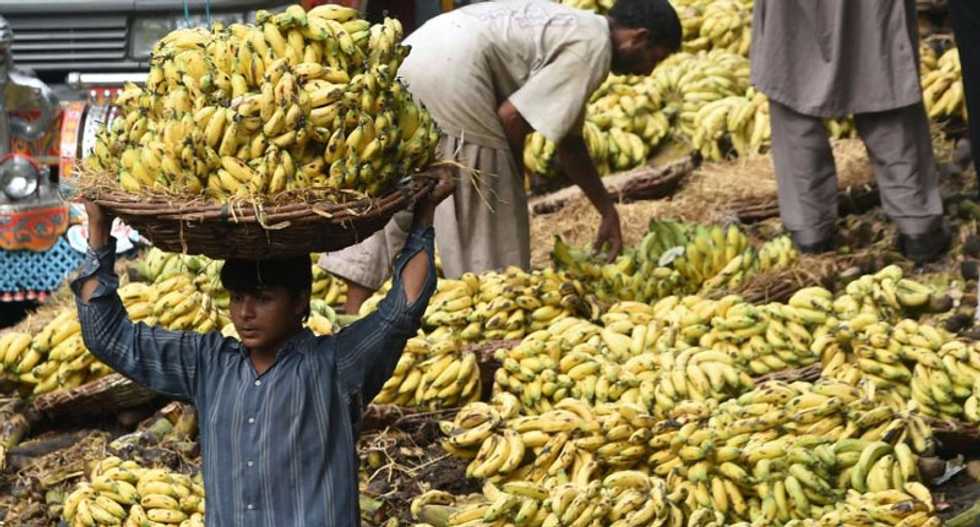 Bananas may help detect and cure skin cancer: study