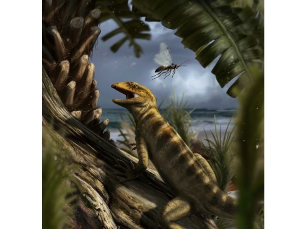 The mother of all lizards found in Italian Alps