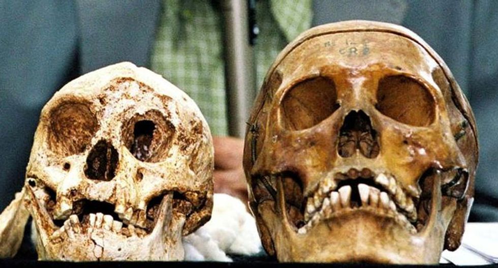 Mystery 'hobbits' found on Indonesian island were not humans like us: study