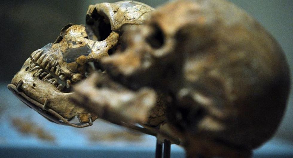 New Neanderthal DNA discovery redraws human out-of-Africa timeline