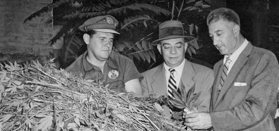 Why is marijuana banned in some states? The real reasons are worse than you think