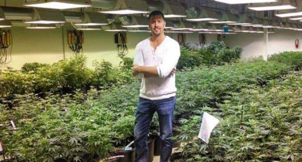 How running a marijuana business cost this man life insurance