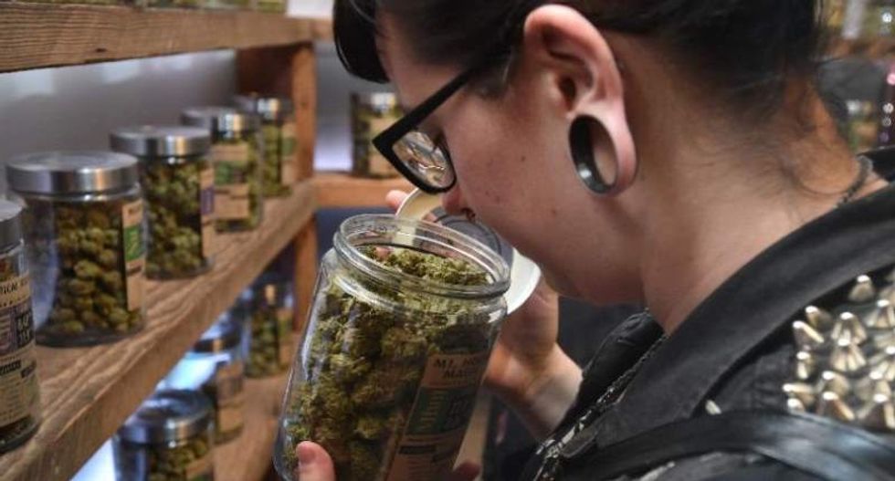 First month of recreational weed sales in Oregon generates $3.5 million in tax revenues