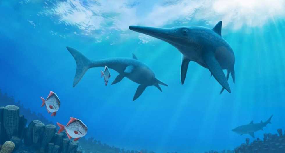 Climate change wiped out prehistoric 'sea dragon': study