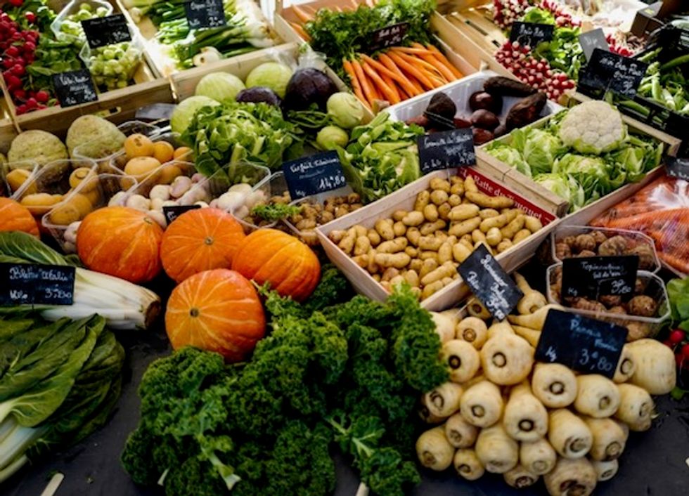 Vegan diets are adding to malnutrition in wealthy countries