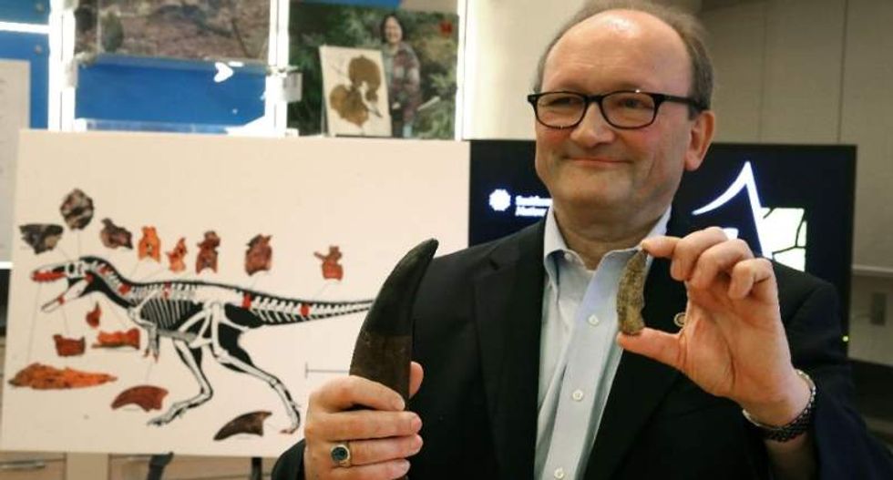 Tyrannosaurus Rex's horse-sized cousin's fossils shows researchers how he 'had to get smart' to be king