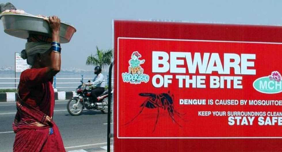 Dengue vaccine's success could speed up development of Zika treatment: researchers