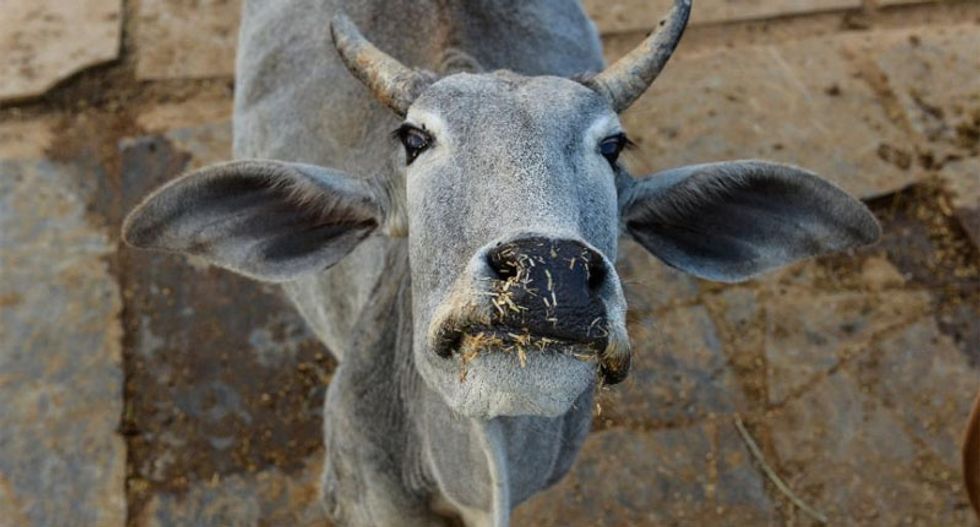 Indian police arrest Muslim students over beef-cooking rumors