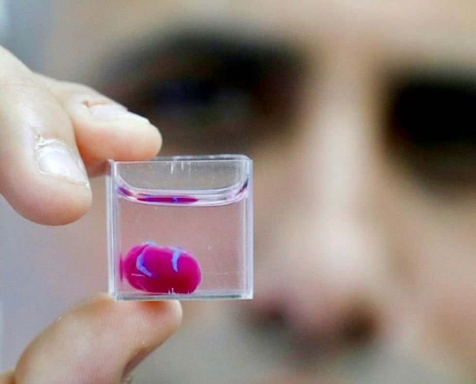 'First' 3D print of heart with human tissue, vessels unveiled