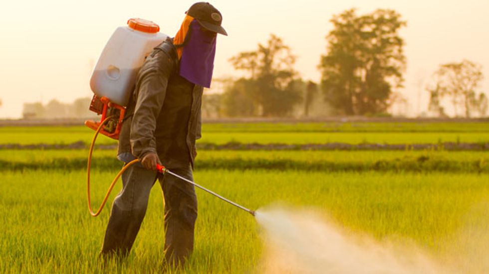 Monsanto's 'Roundup' weedkiller may be causing kidney failure in farmworkers: study