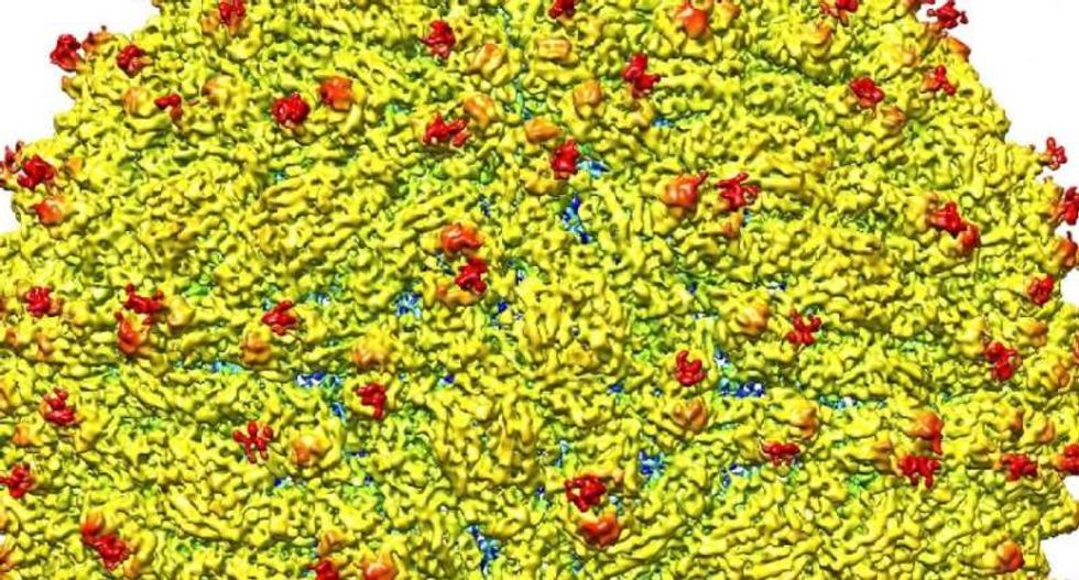Trump administration lifts ban on making viruses more deadly -- and transmissible
