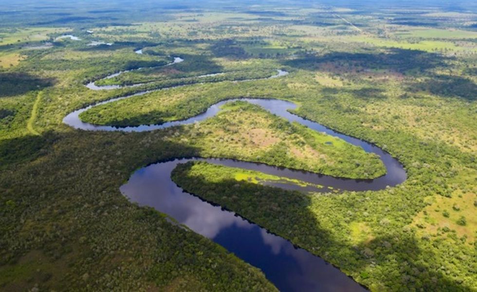 Earth's intact forests vanishing at accelerating pace: scientists