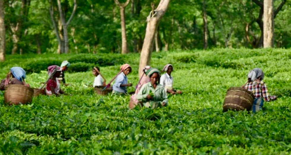 Supermarkets must help end 'brutal conditions' for farmers: Oxfam