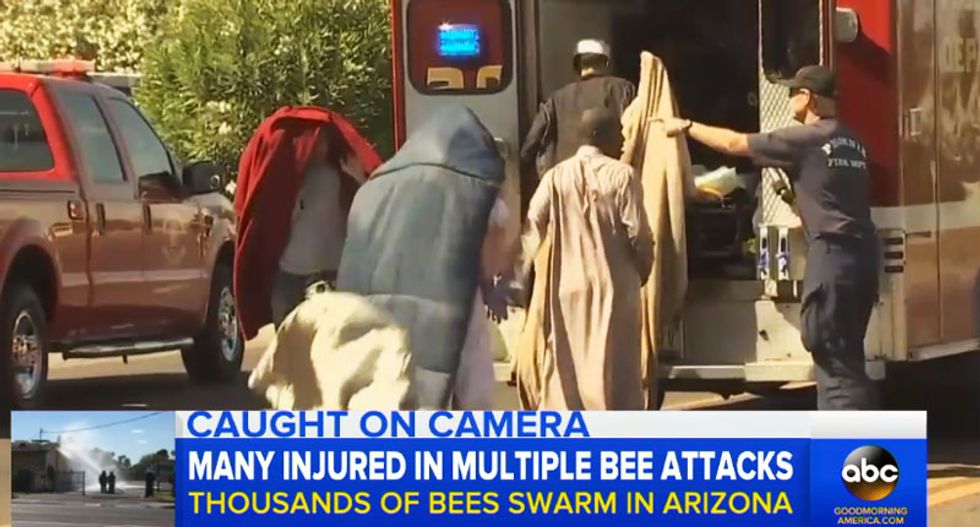 Racist commenters flood Fox News Facebook page to mock bee attack victims at Phoenix mosque