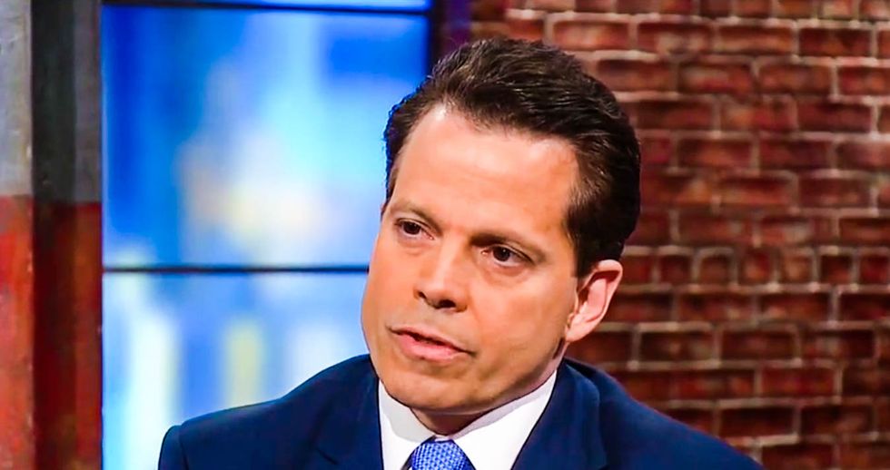 WATCH: Panicked Scaramucci goes down in flames on CNN trying to clean up his train wreck Priebus tweet