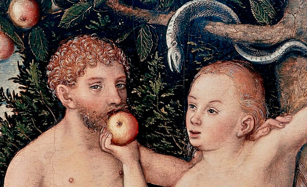 Christian sex advice websites offer a peek into evangelical politics