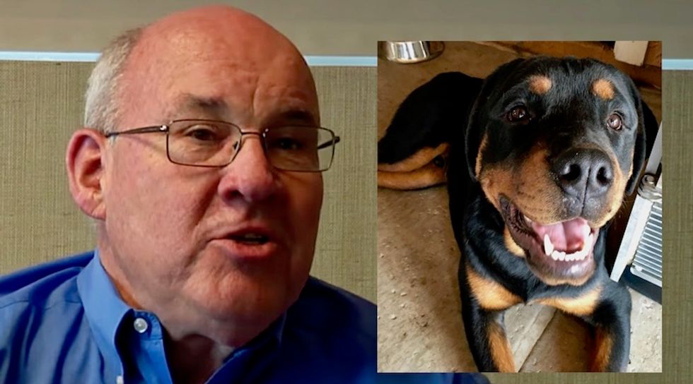 Trump-loving billionaire dumps sick puppies on dog rescue — and pretends to be broke to avoid fees