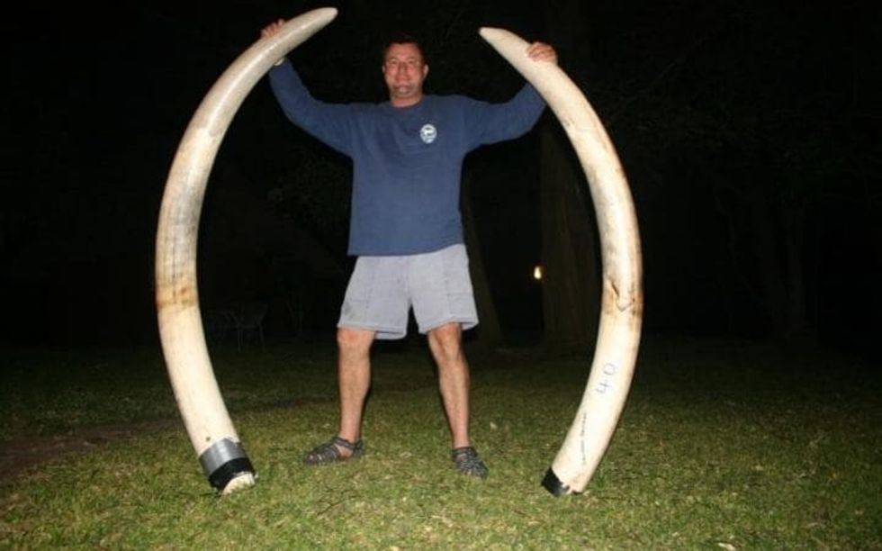 Professional big game hunter dies after elephant falls on him in Zimbabwe