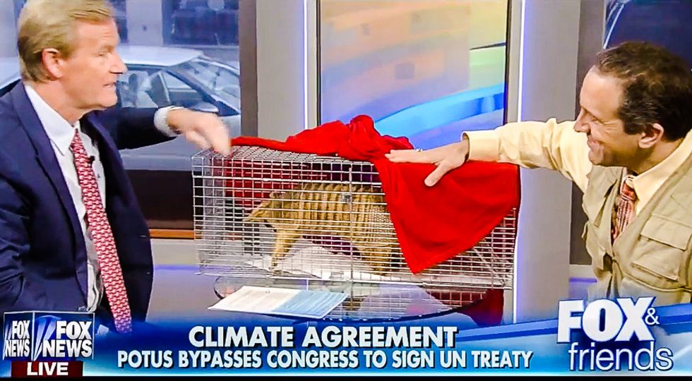 Fox uses stuffed armadillo to persuade viewers 'there's nothing to worry about with global warming'