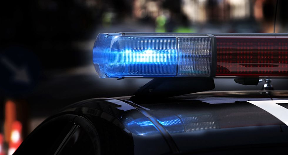 Man shoots gun at 'alien lasers' that turn out to be fireflies
