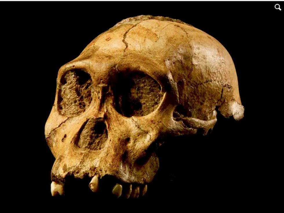 Archaeological discoveries are happening faster than ever before, helping refine the human story