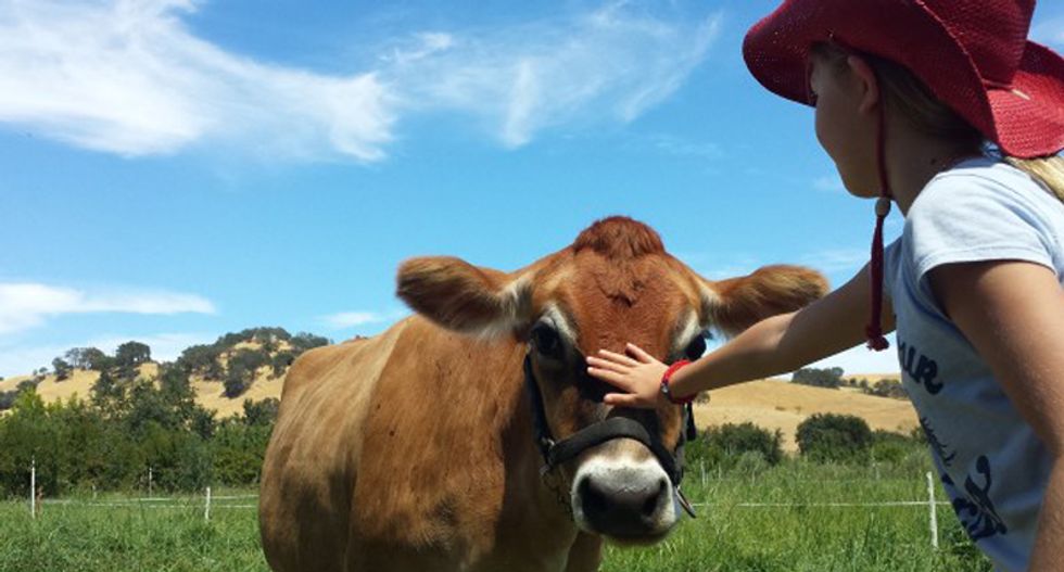 'The f*cking irony!': Owners of LA vegan restaurant get deaths threats for eating meat at home