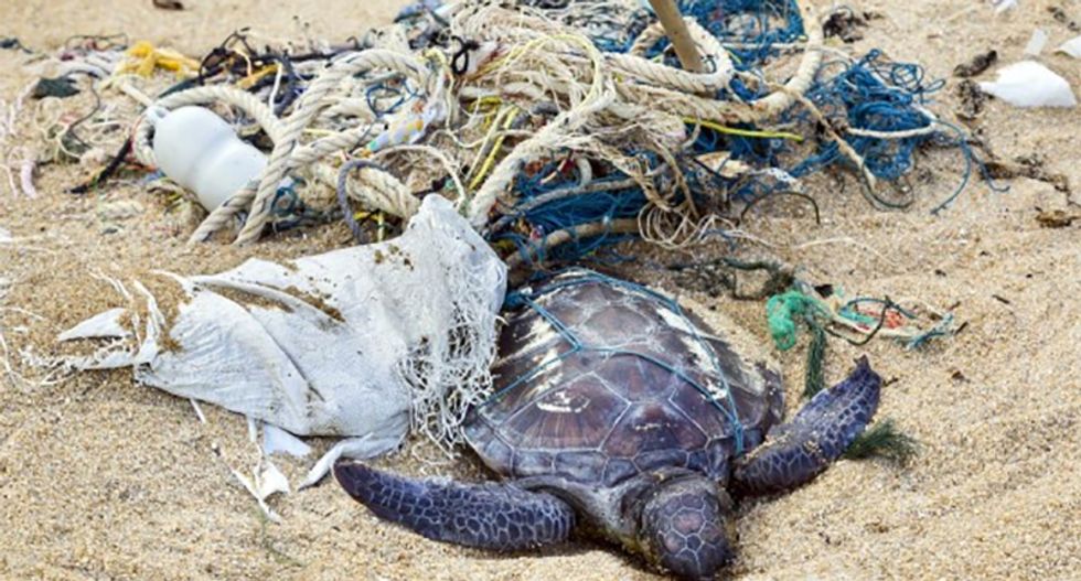 Want to leave the world less cluttered? Then stop relying on recycling and do this instead