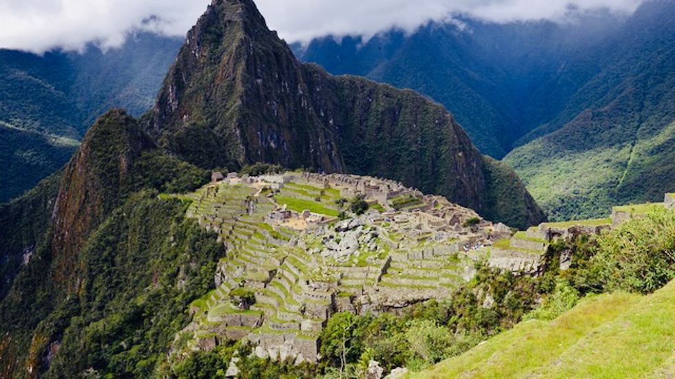 Peru to plant one million trees around Machu Picchu